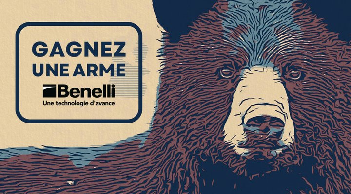 Une image d'ours colorée