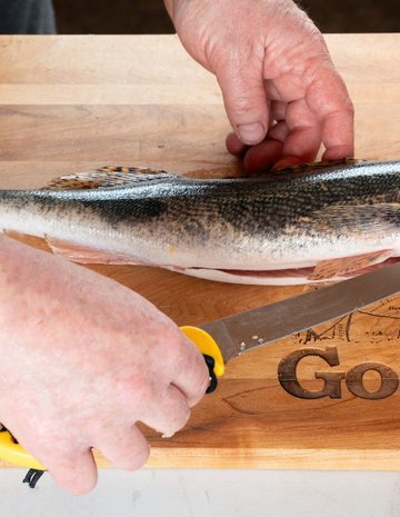 Someone gutting a walleye