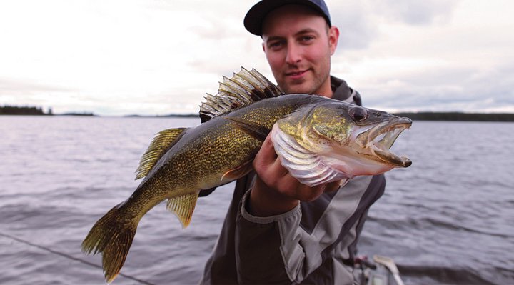 Walleye