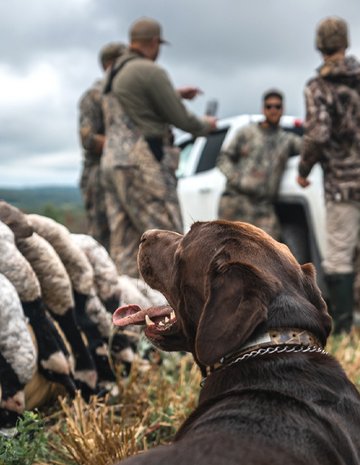 Hommes et chien après une chasse à l'oie blanche à La Cache Outfitters.