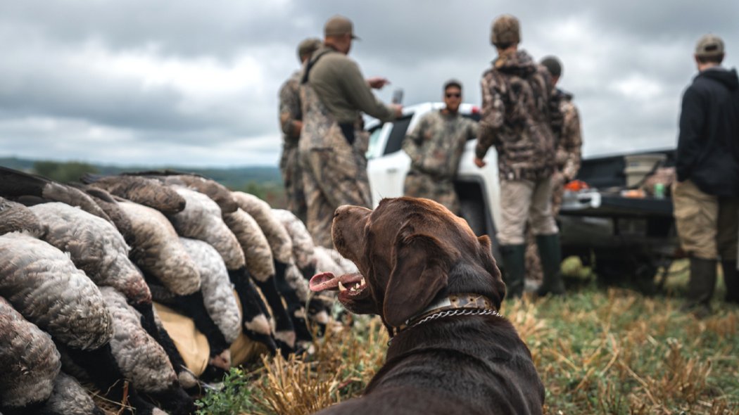 Hommes et chien après une chasse à l'oie blanche à La Cache Outfitters.