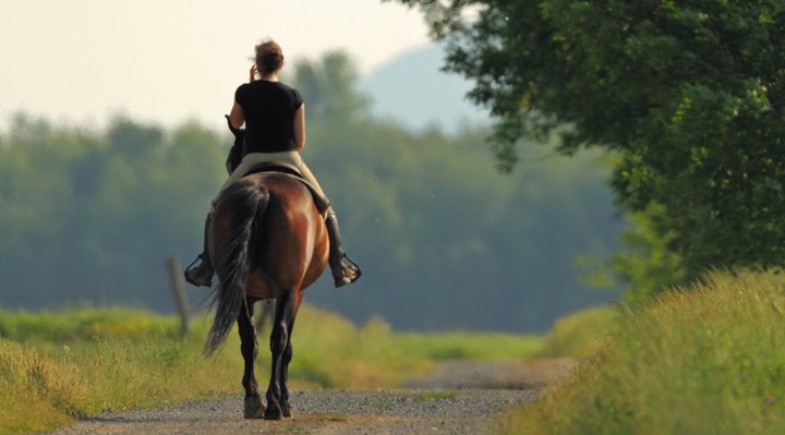 A person on horseback
