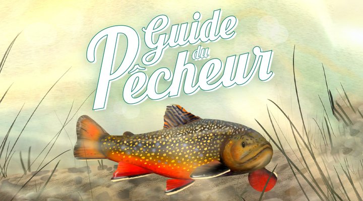 Illustration d'une truite pour entête du Guide du pêcheur