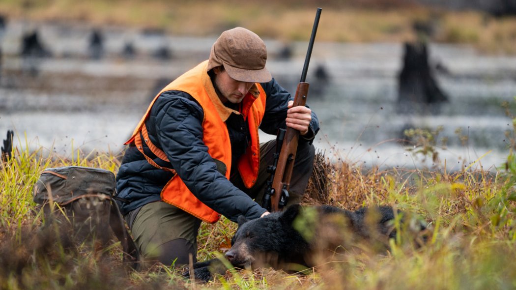 A man hunting a black bear at an outfitter.