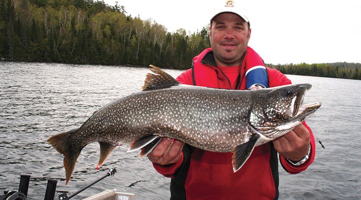 Lake trout