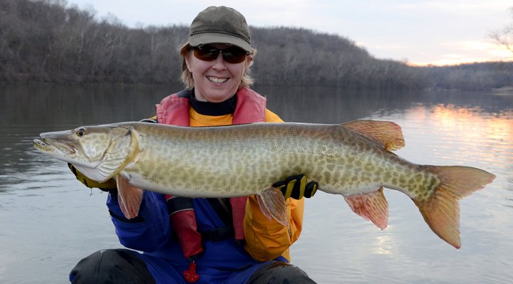 Muskellunge