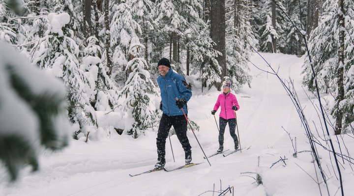 A couple on cross-country skis