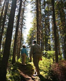 A woman and a man walking in a trail surrounded by trees.
