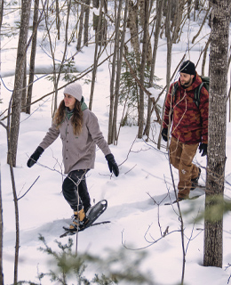 A woman and a man on snowshoes walking on a snowy trail.