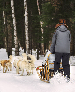 A man guiding dog-sledding at an outfitter.