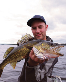 Walleye