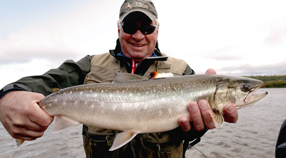 Arctic char