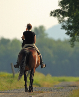 A woman on a horse