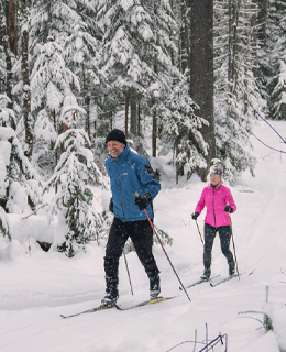 Two people cross-country skiing
