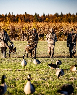 Des chasseurs dans un champ