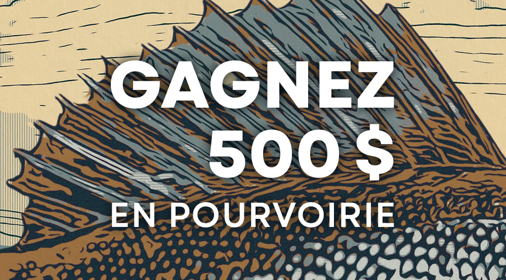 Illustration for the Guide du pêcheur 2025 contest