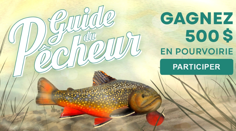 Concours Guide du pêcheur illustration de truite